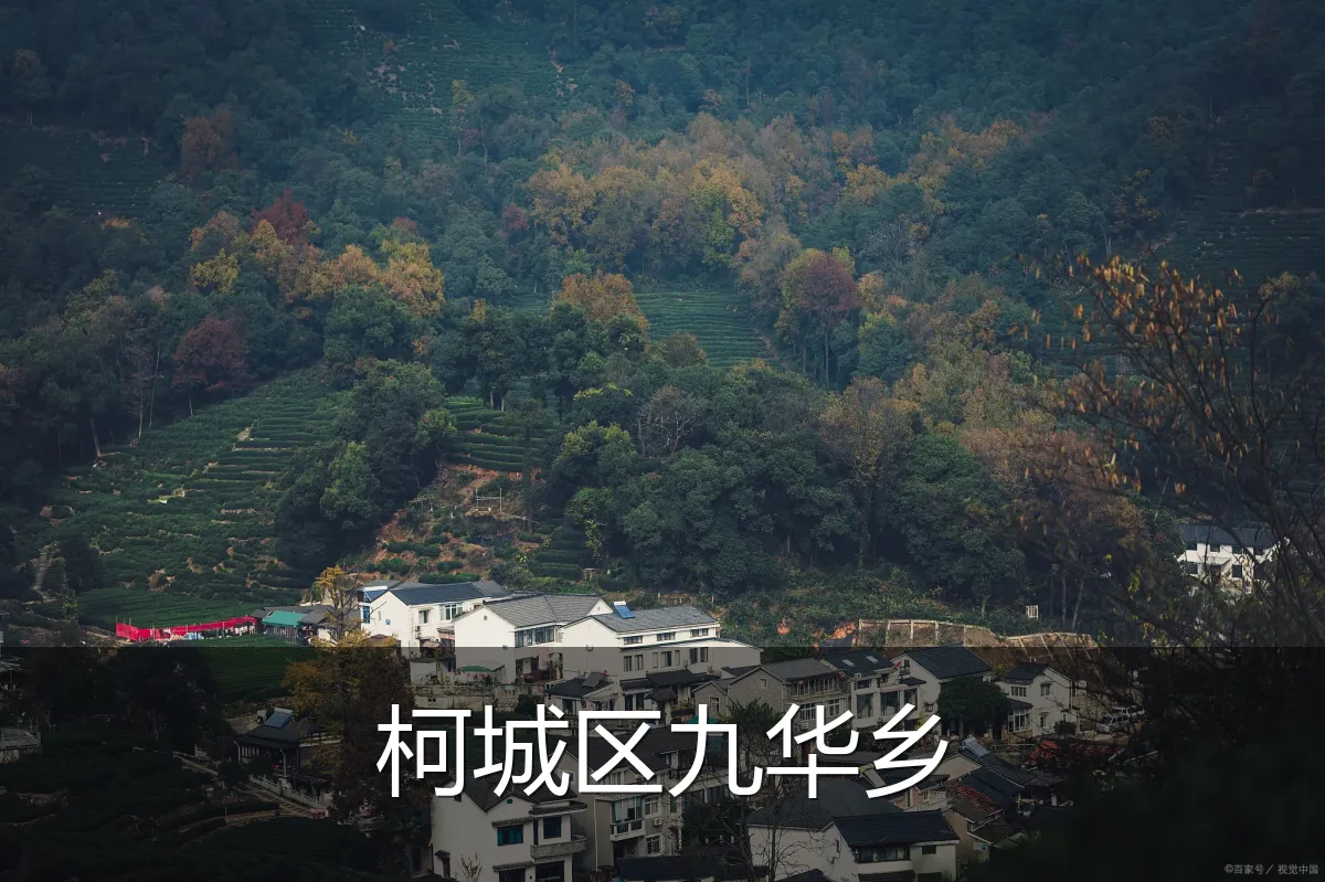柯城区九华乡